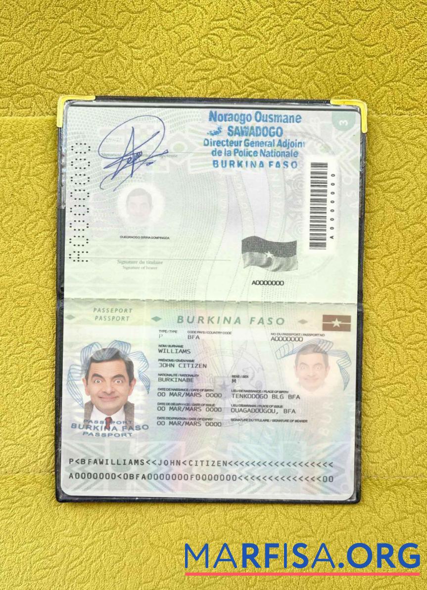 Blank Burkina Faso pass (2008 2018) photo look download for verification